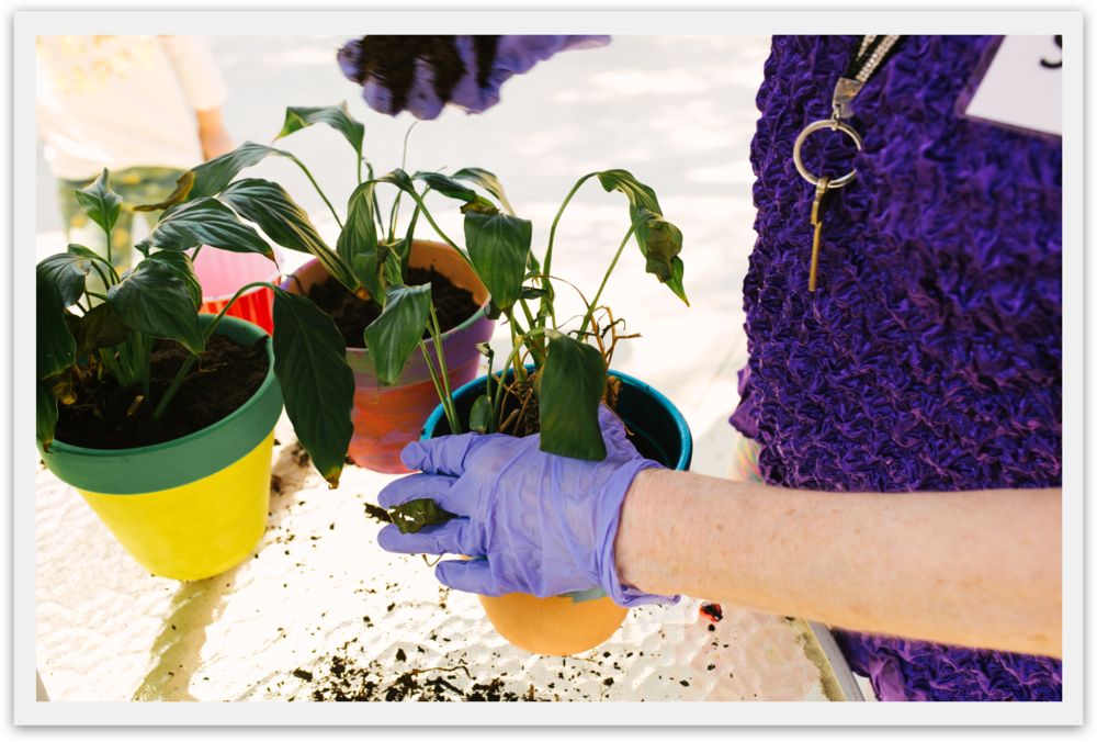 The Towne Care Cypress; Memory Care & Assisted Living