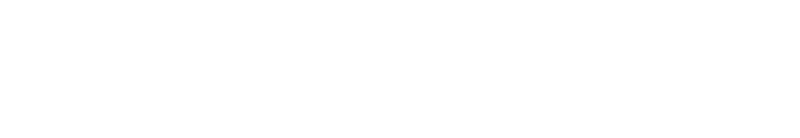 Autobahn white logo