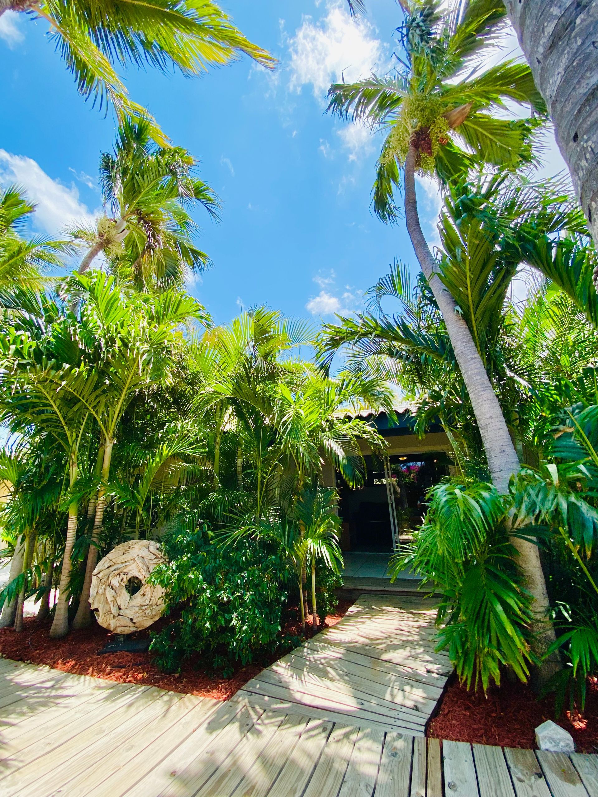 Wooden pathway leading to a tropical building entrance surrounded by lush greenery, under a sunny blue sky.