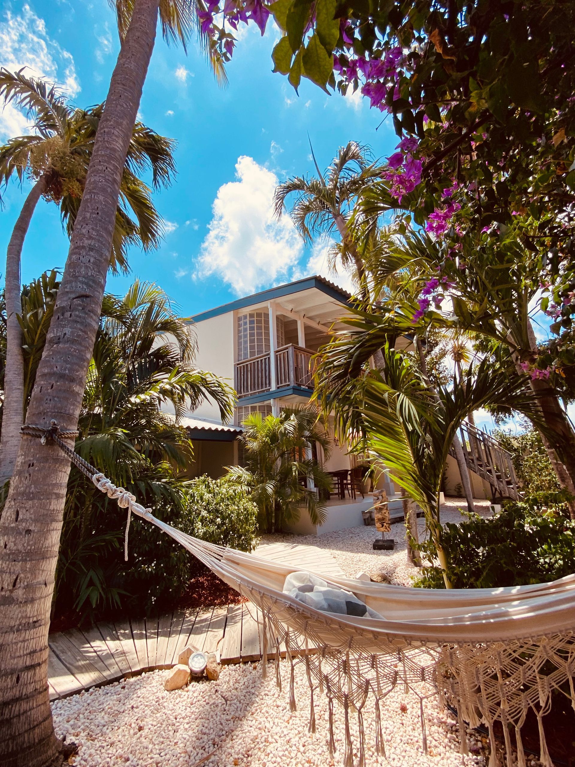 Hammock strung between palm trees, house in background, sunny day.