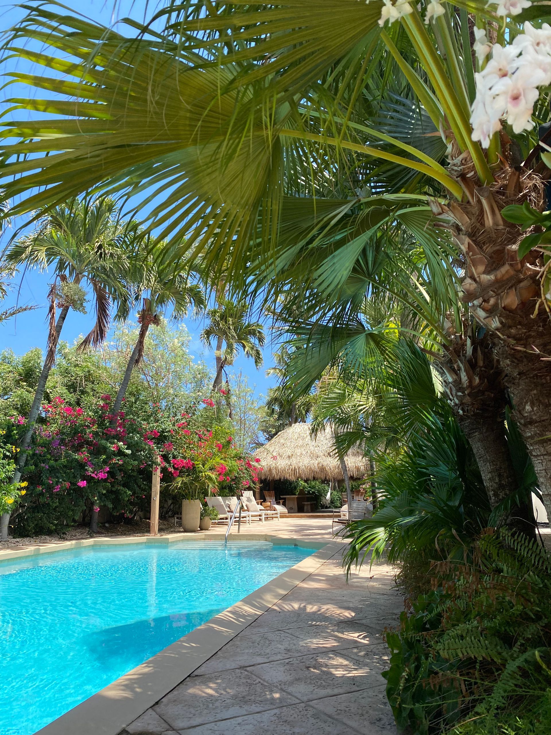 Poolside tropical scene: blue pool, palm trees, thatched-roof structure, flowering bushes, sunny sky.