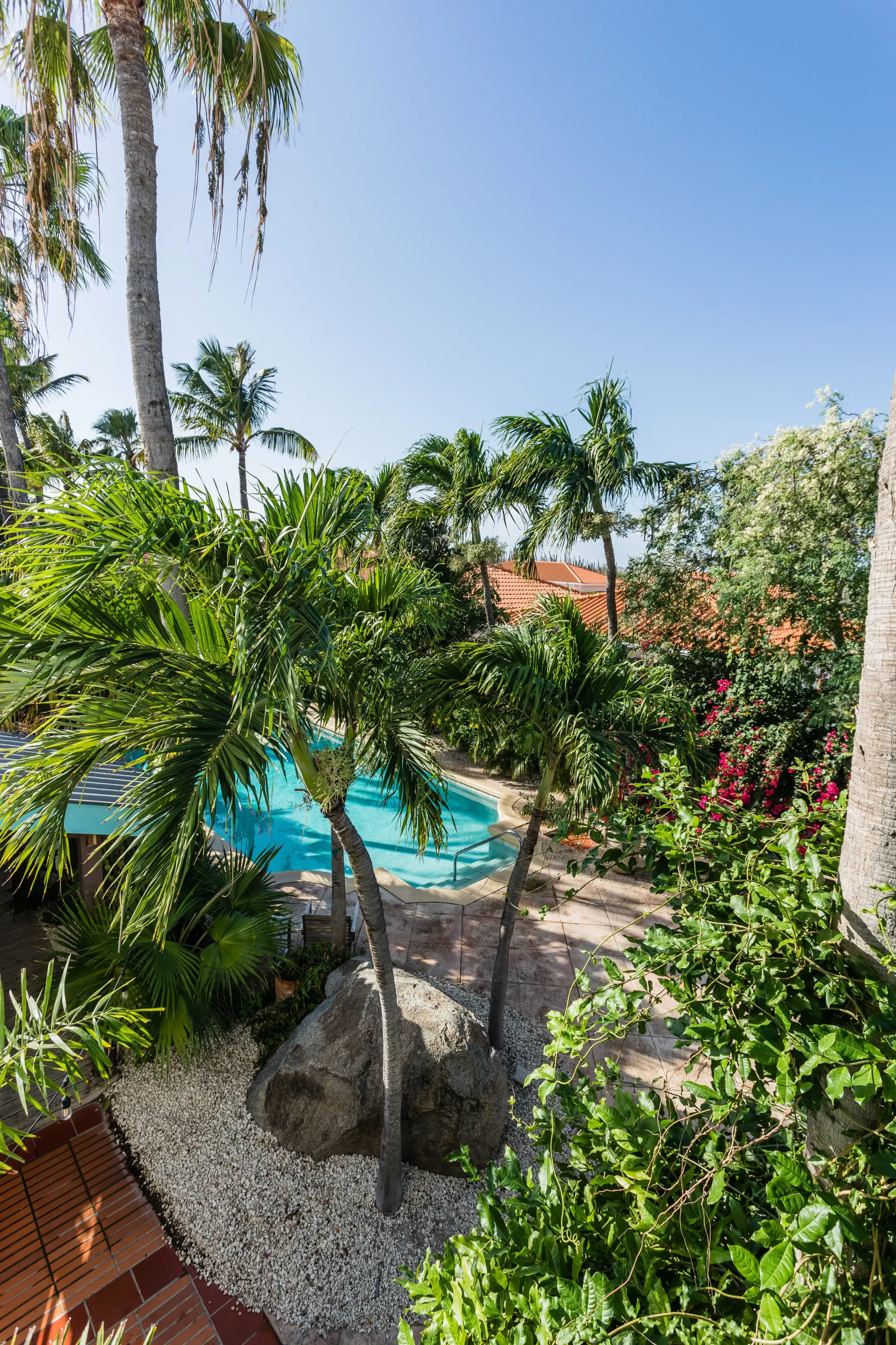 Pool surrounded by lush greenery and palm trees under a bright blue sky.