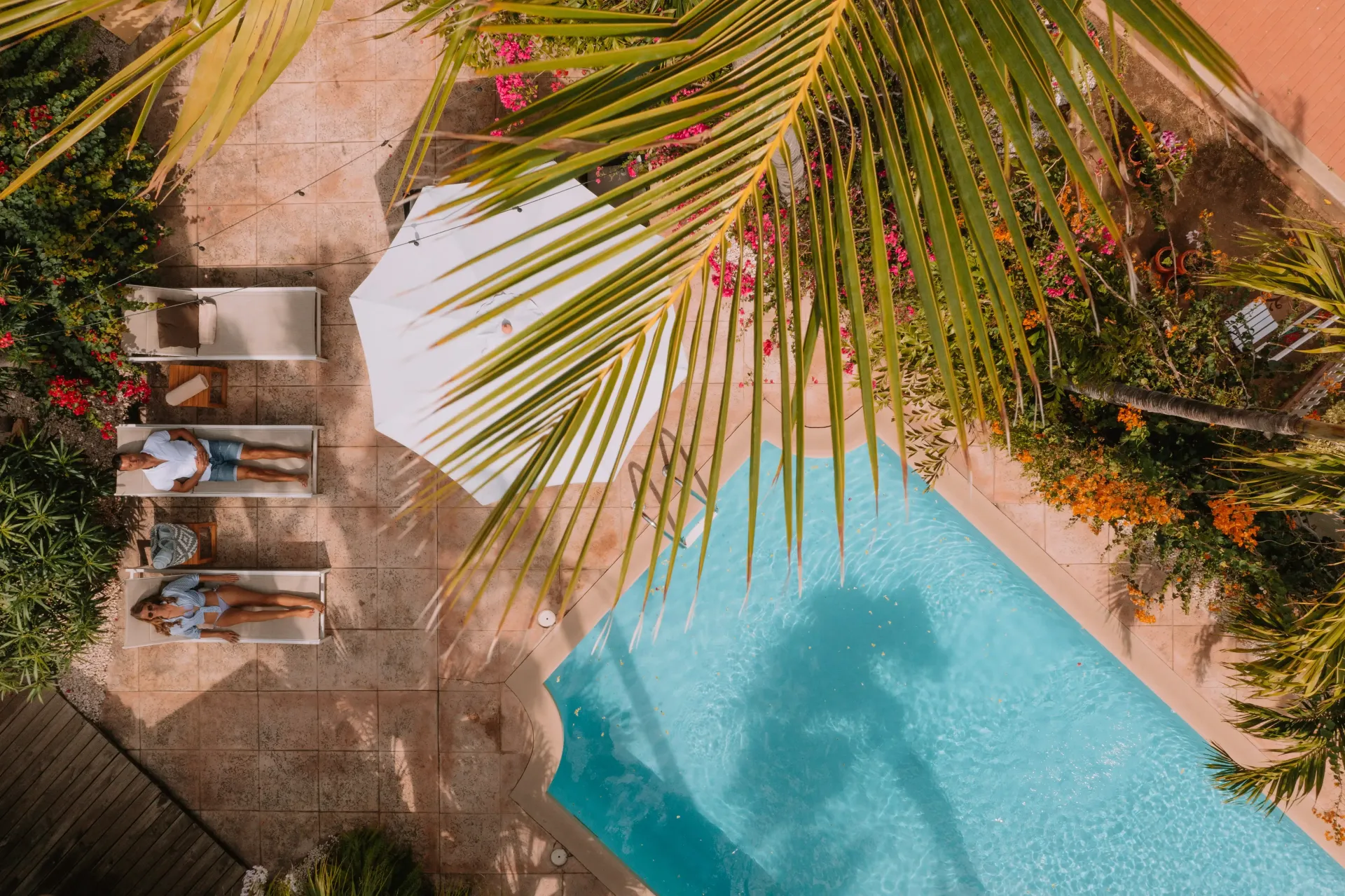 Poolside scene: woman relaxing on lounge chairs under a palm tree; clear blue water in the pool.