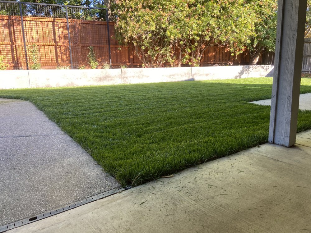 TLC Landscape Services Inc Top Rated Landscaper Sacramento, California