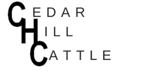 Logo featuring the large, bold letters 