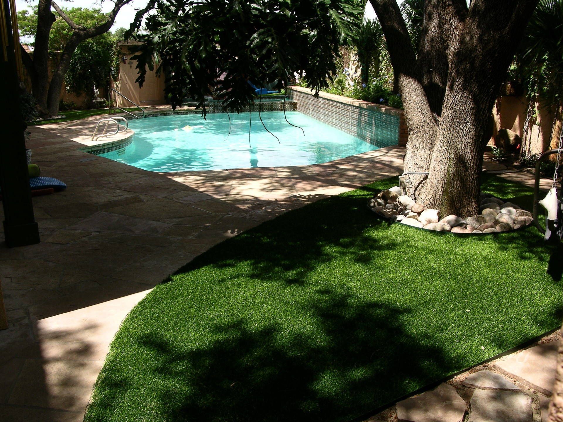 Artificial Grass 2