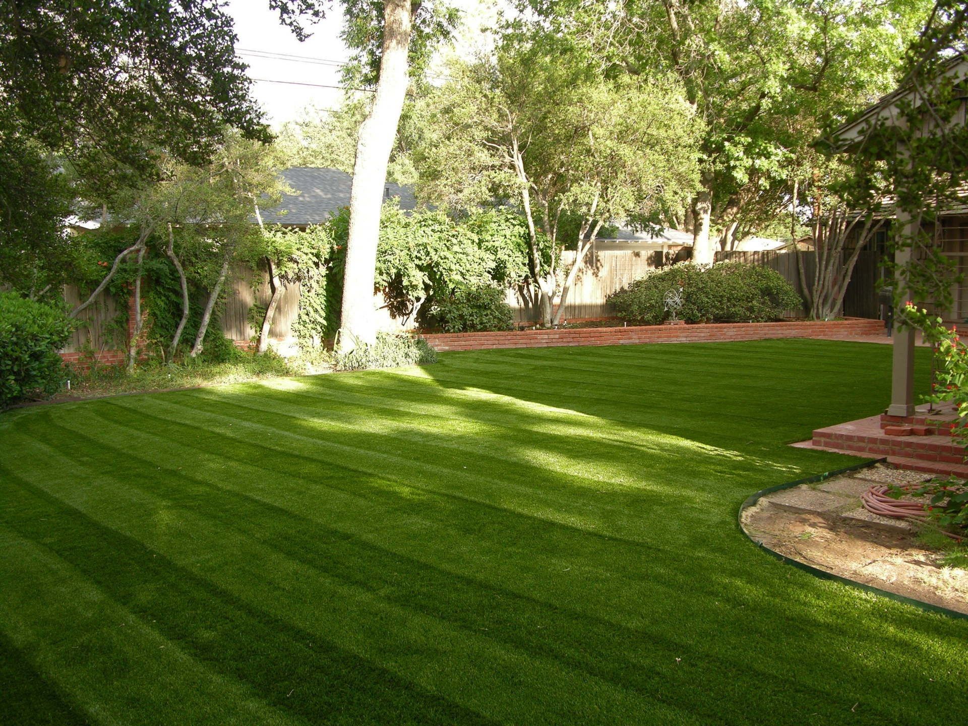 Artificial Grass 3