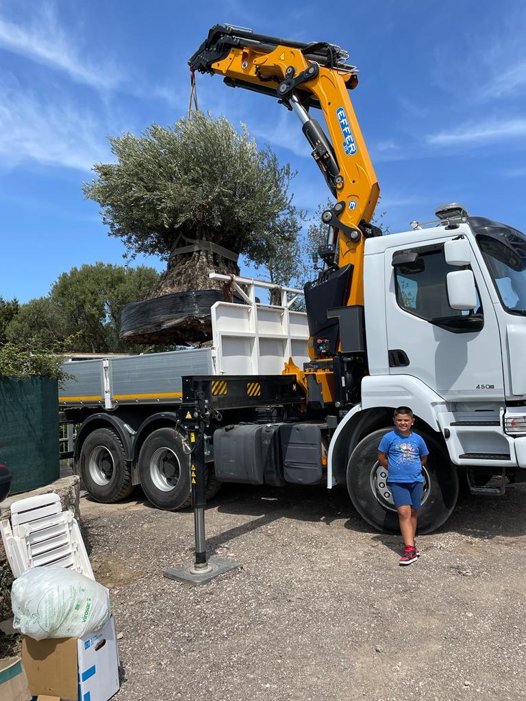 camion con gru