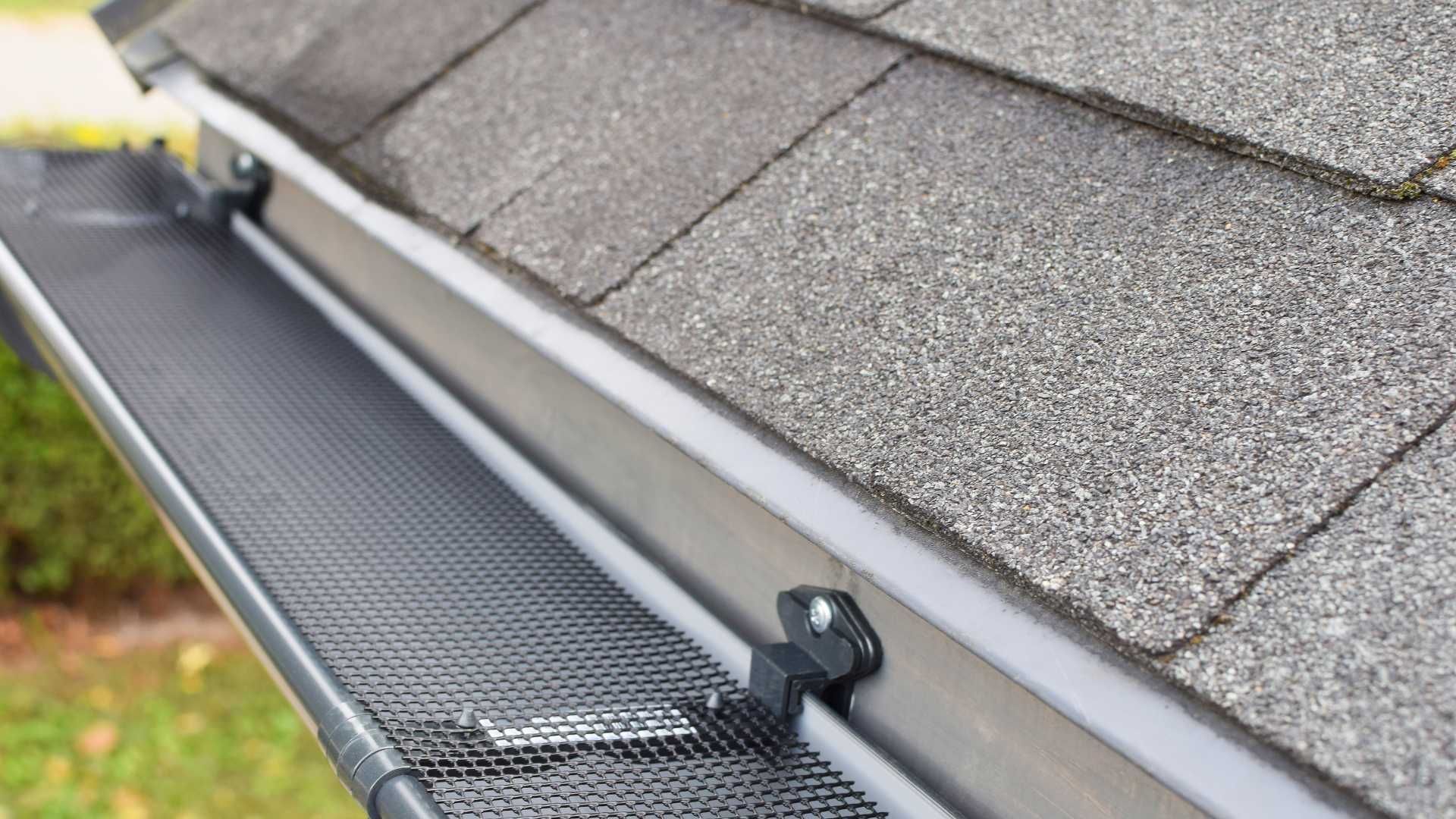 Gutter guard installed along a shingled roof edge to keep debris out of the gutter
