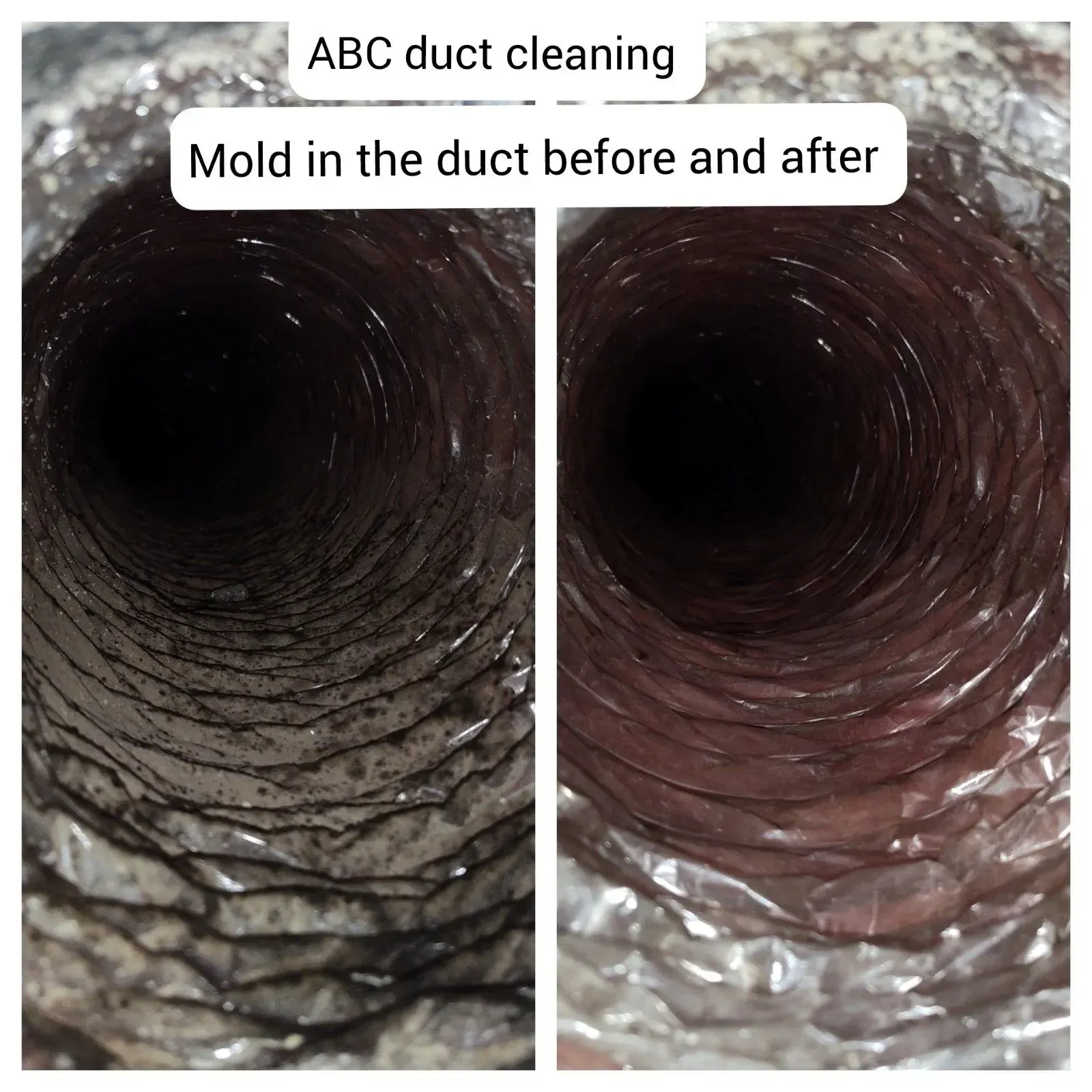Side-by-side duct photos show before and after mold removal. The