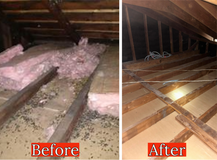 Interior of a roof attic under construction, showing wooden beams, insulation, and a small window.