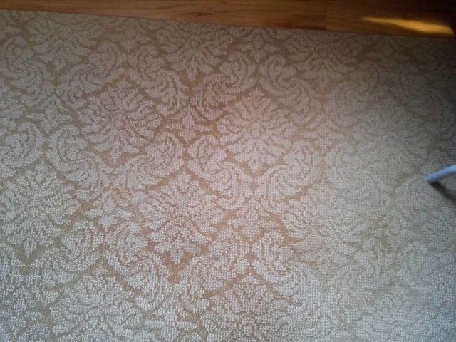 After Cleaning The Carpet — Valley, NY — Classic Carpet and Upholstery Cleaning