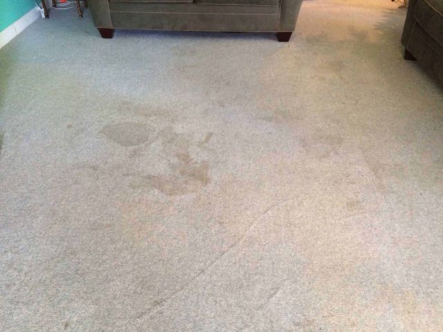 Carpet With Coffee Stain — Valley, NY — Classic Carpet and Upholstery Cleaning