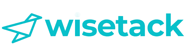 Wisetrack logo in teal with a paper airplane icon on a white background