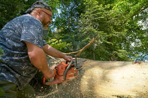 Worker Sawing A Log Using Chainsaw - Bucyrus, OH - A Cut Above Tree Trimming and Removal