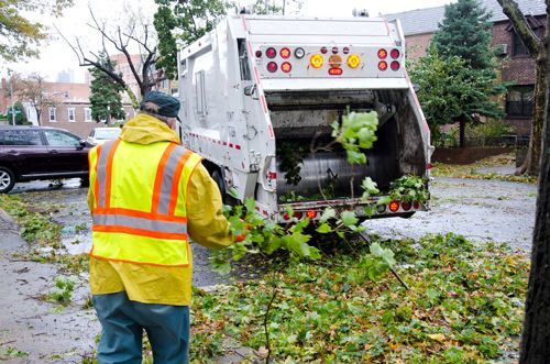 Workers Cleaning The Street After Cutting TTrees - Bucyrus, OH - A Cut Above Tree Trimming and Removal