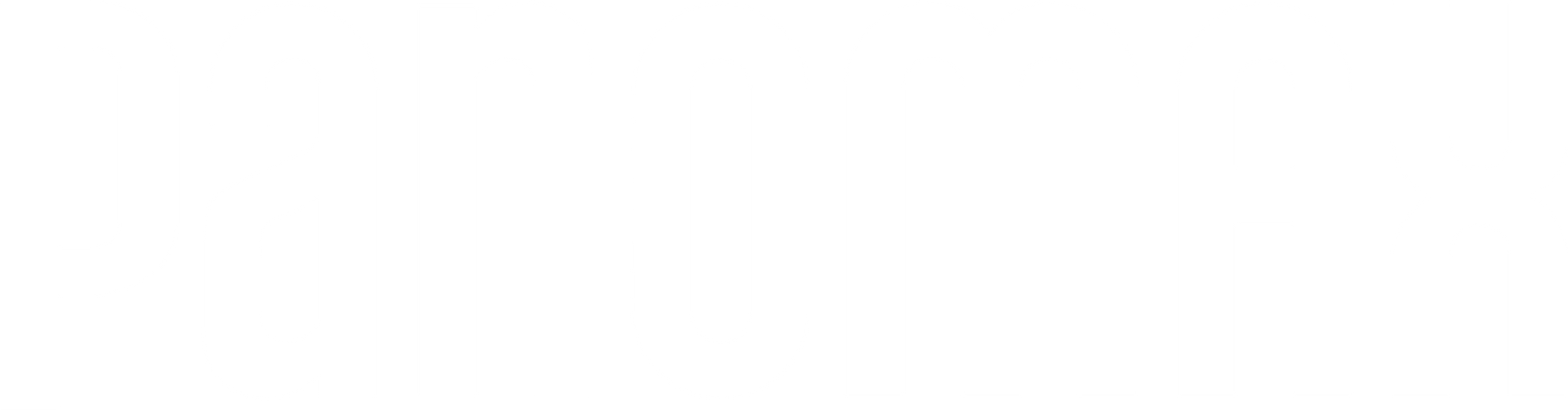 Panomax Cruises Logo in white