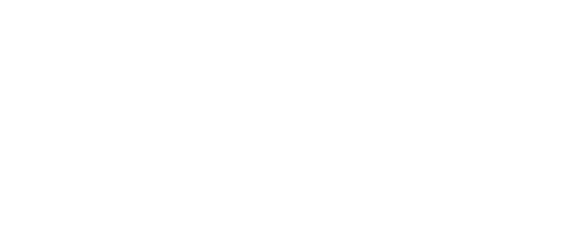 Panomax Cruises Logo in white