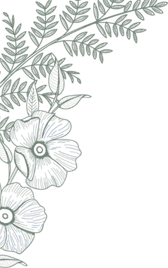 Botanical spa design background