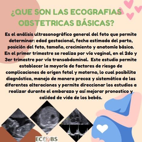 Infografía rosa sobre ecografías obstétricas básicas, con texto explicativo e imágenes de ultrasonido.