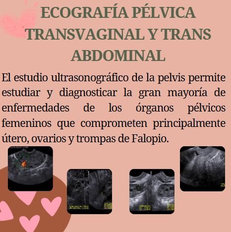 Cartel rosa sobre ecografía pélvica transvaginal y abdominal con varios ultrasonidos de pelvis.