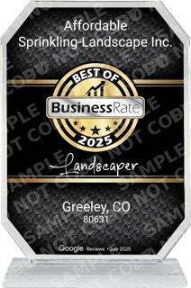 Award plaque for 