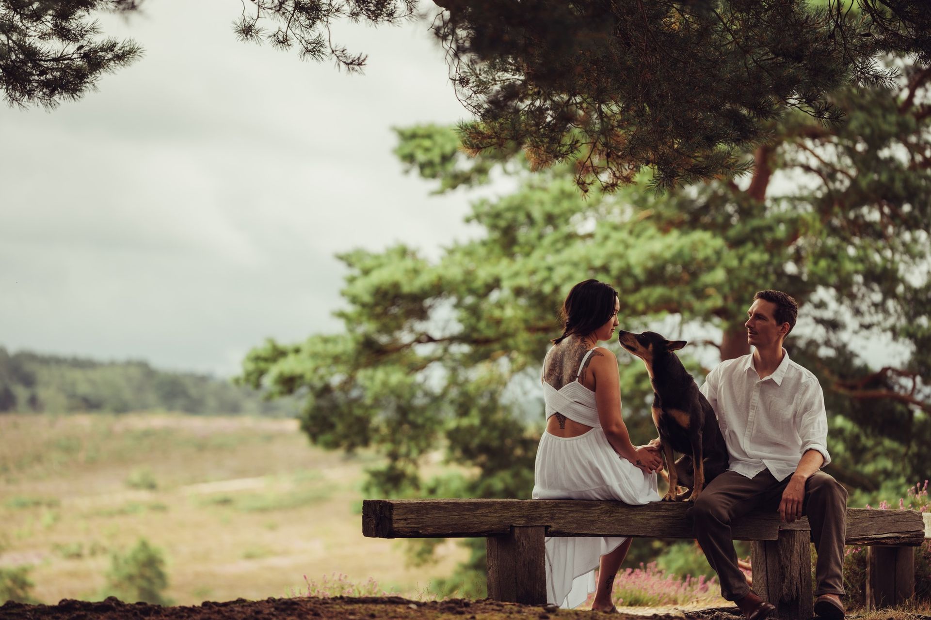 A man and a woman are sitting on a bench with their dog.