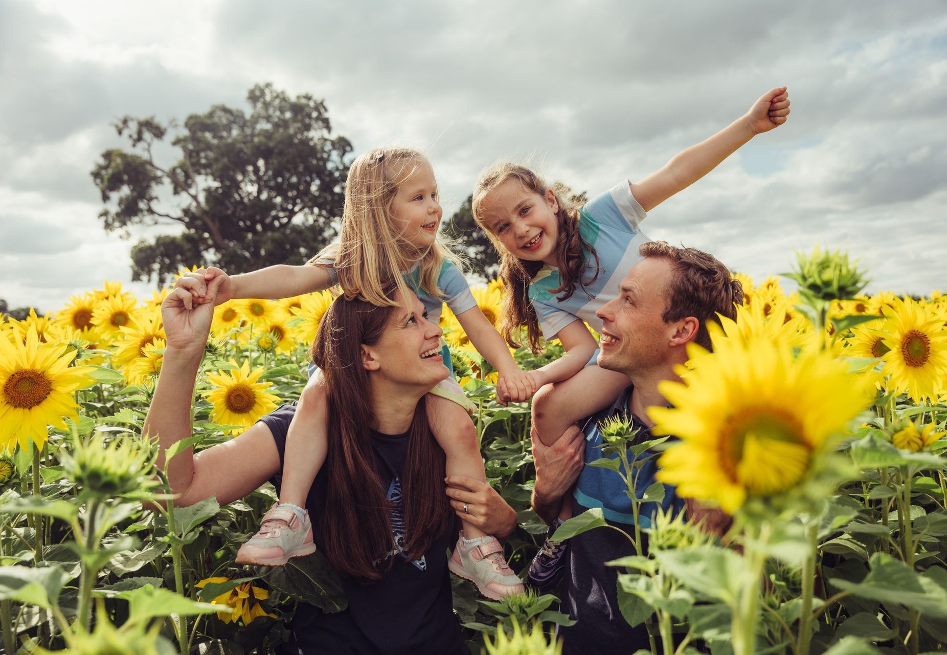 A family is sitting in a field of sunflowers.