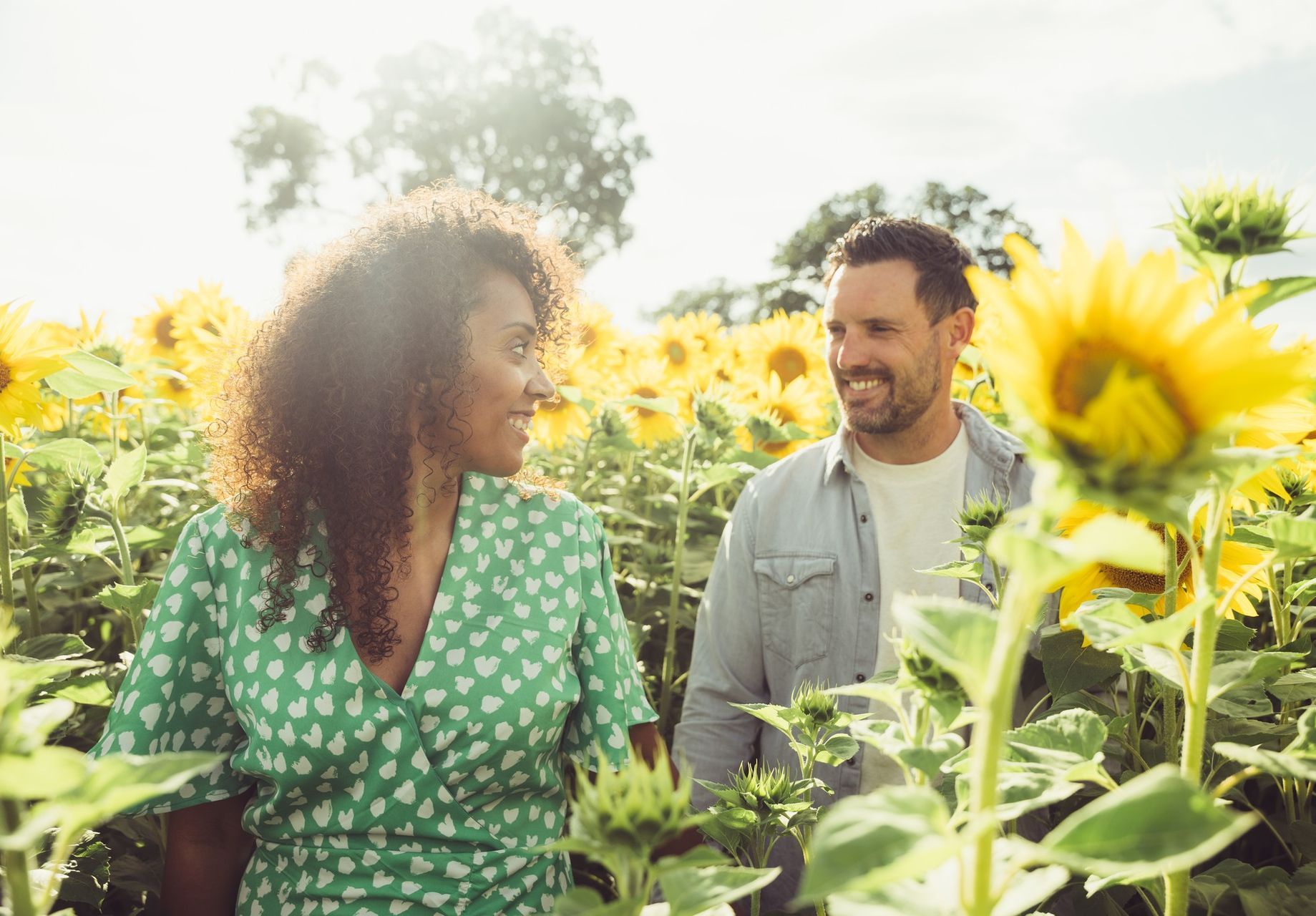 A man and a woman are standing in a field of sunflowers.