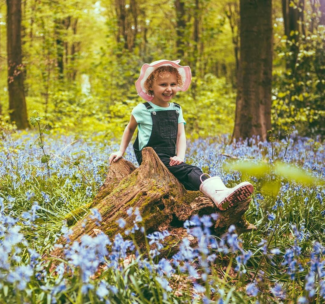 A little girl is sitting on a tree stump in a field of bluebells.