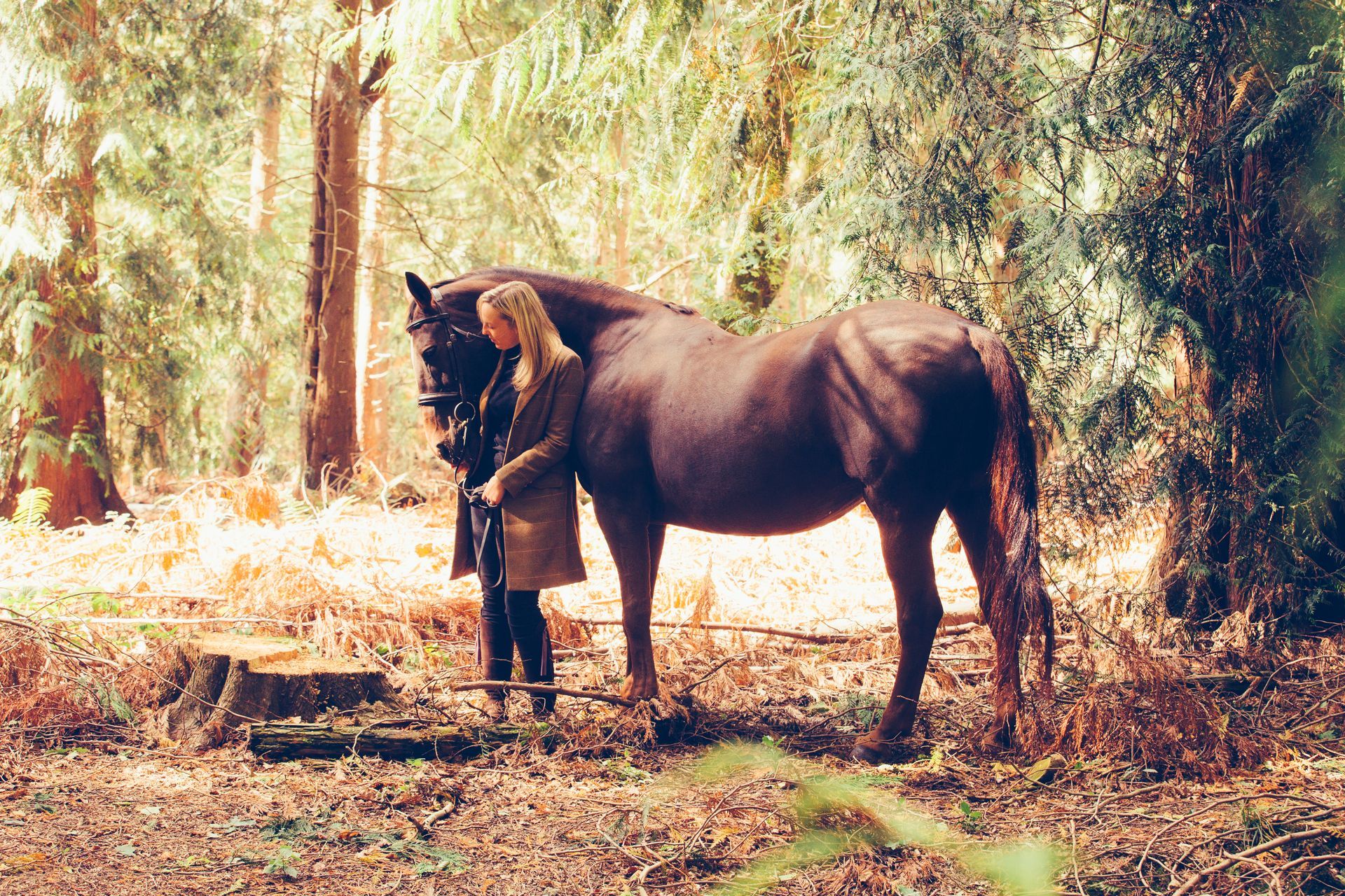 A woman is standing next to a brown horse in the woods.