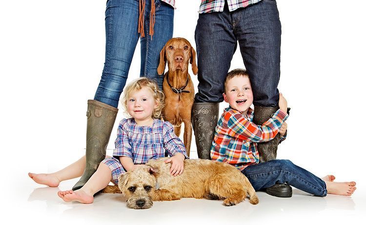 A family is posing for a picture with their dogs.