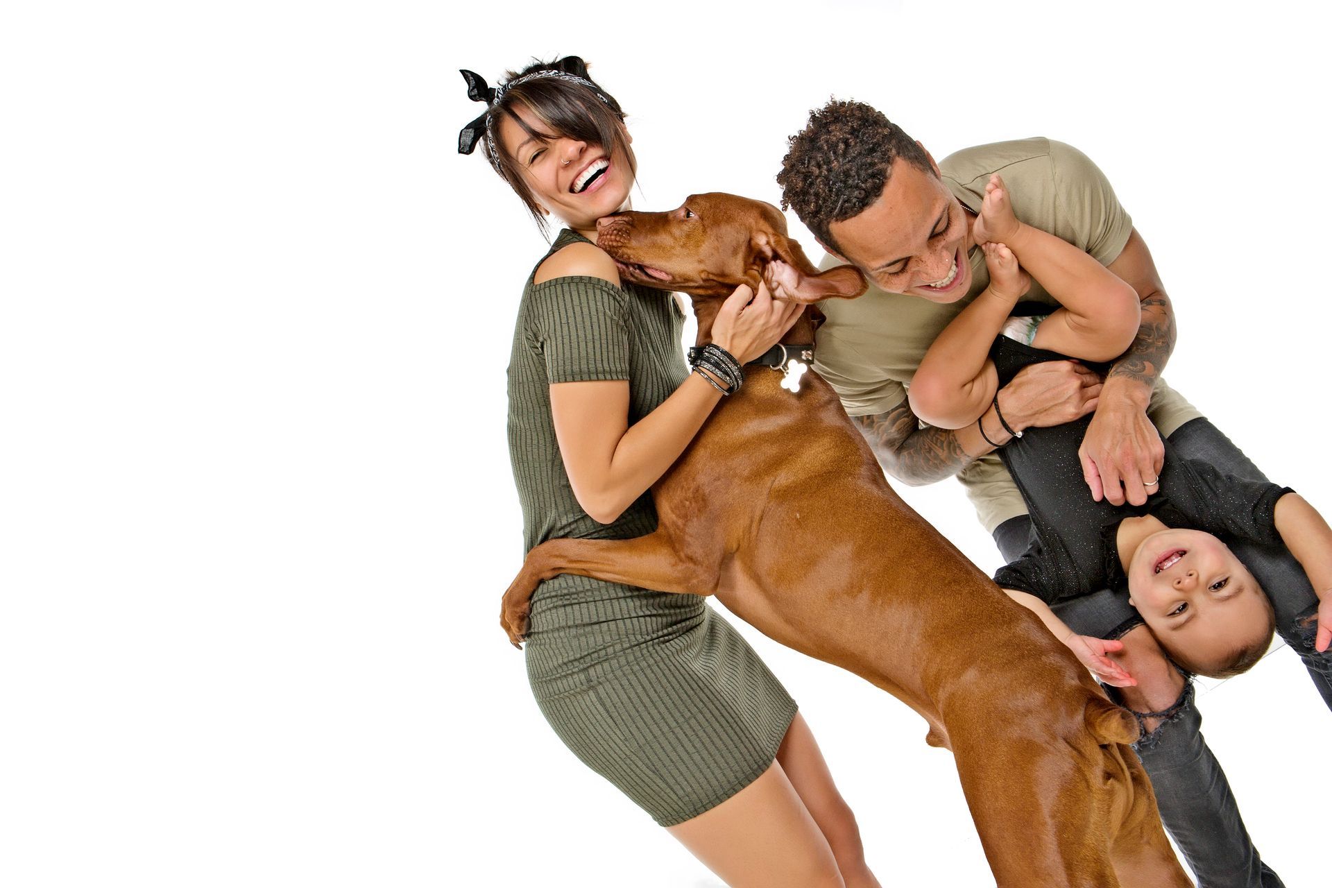 A family with a dog and a child playing with it