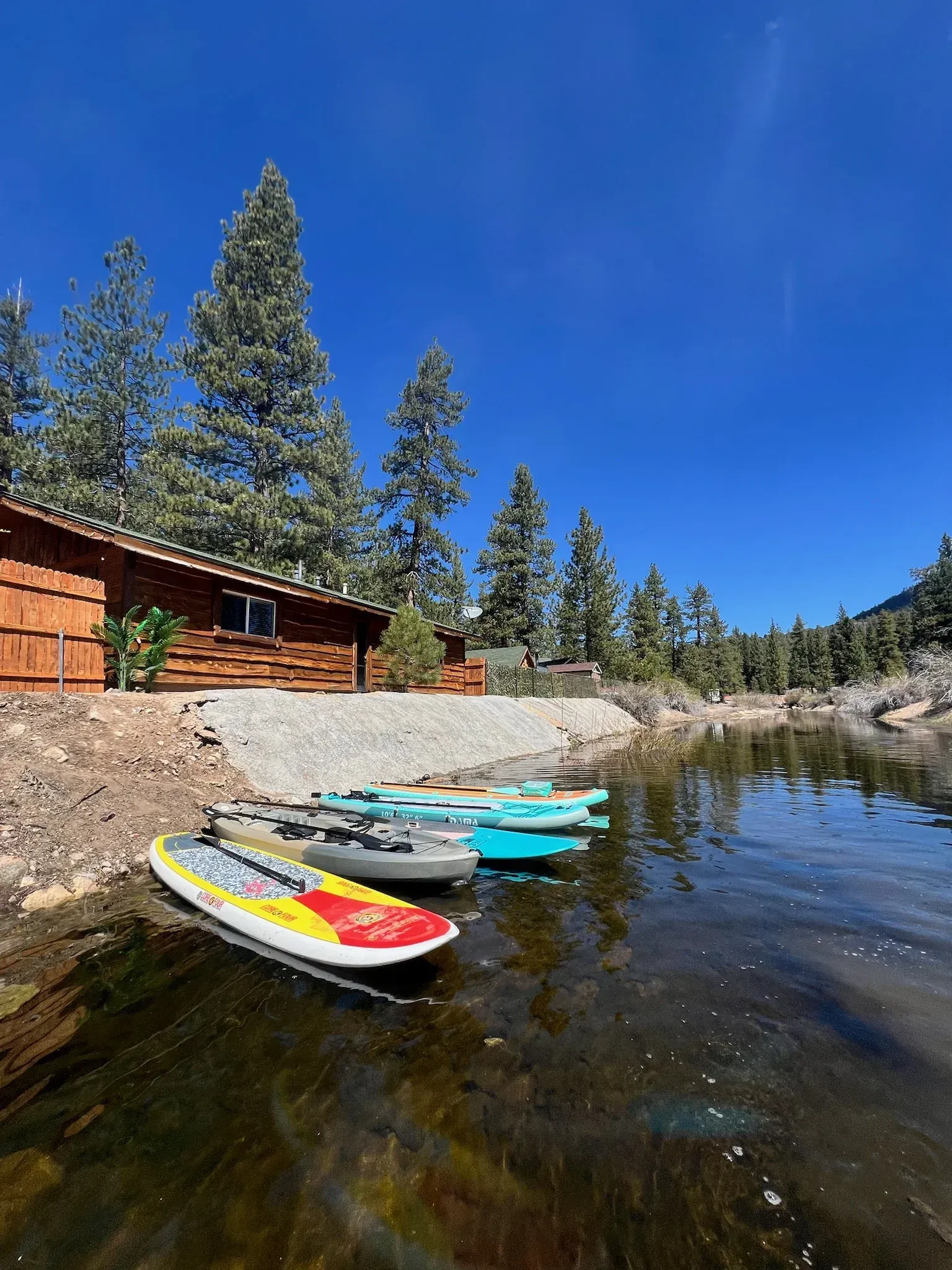 Paddleboards on calm water near a log cabin on a sunny day.