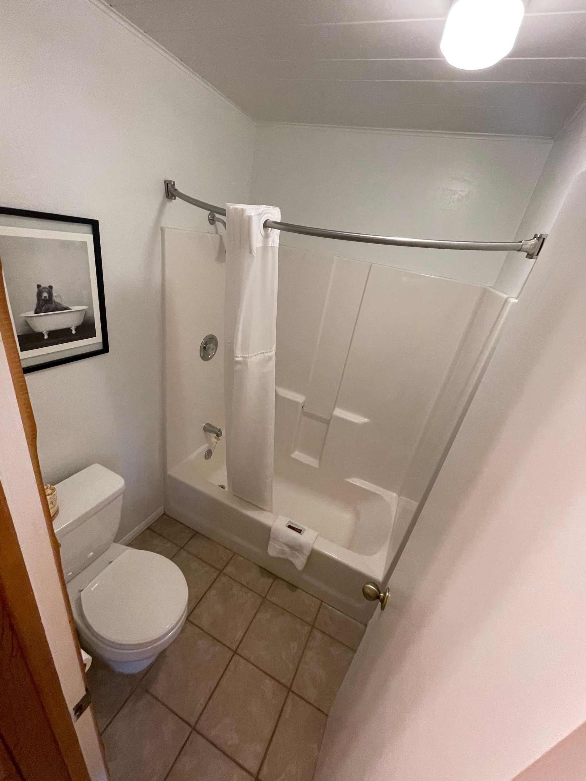 Small bathroom with a toilet, shower/tub combo with white curtain, and framed art.