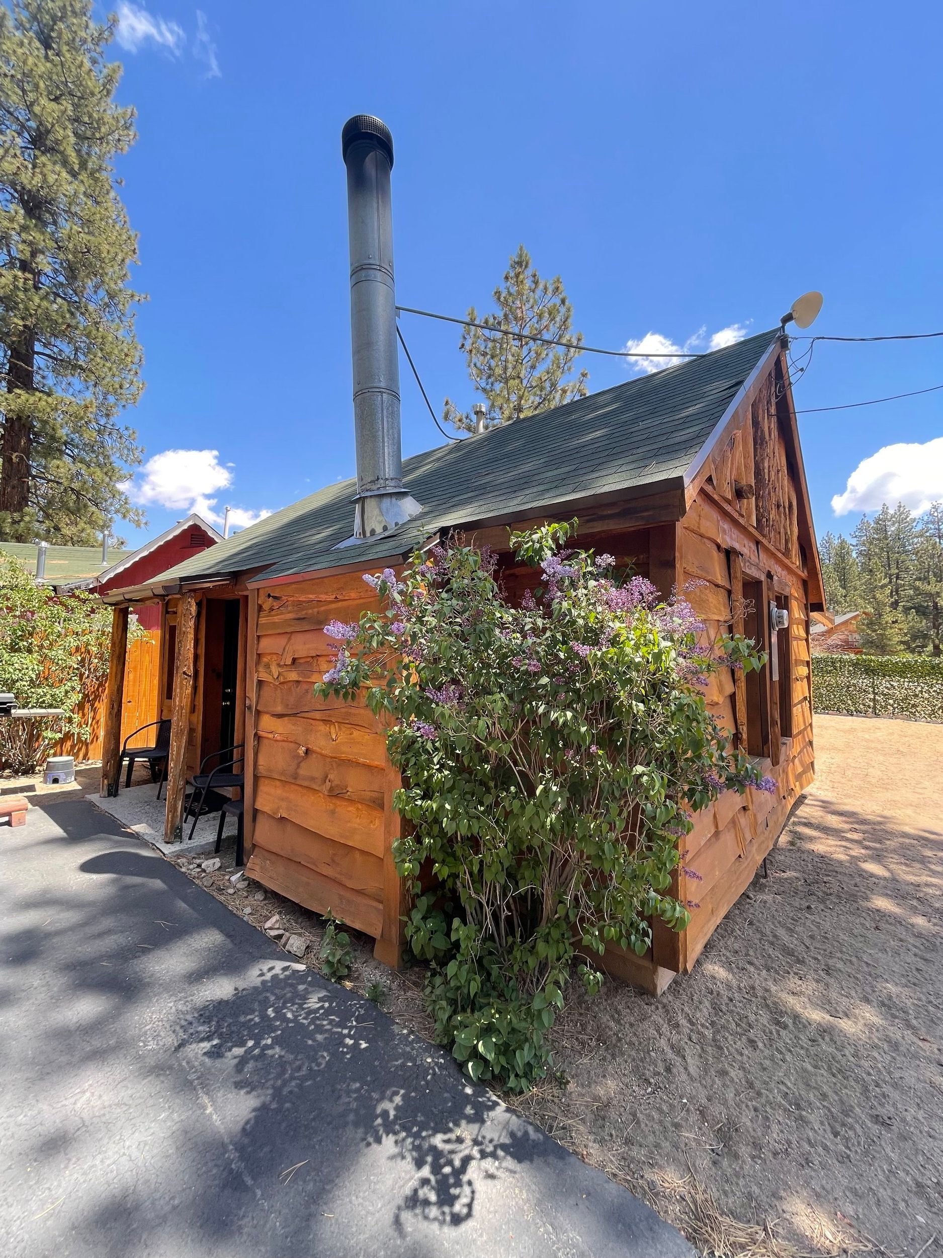 Wooden cabin with chimney, green roof, and bush, on a sunny day.