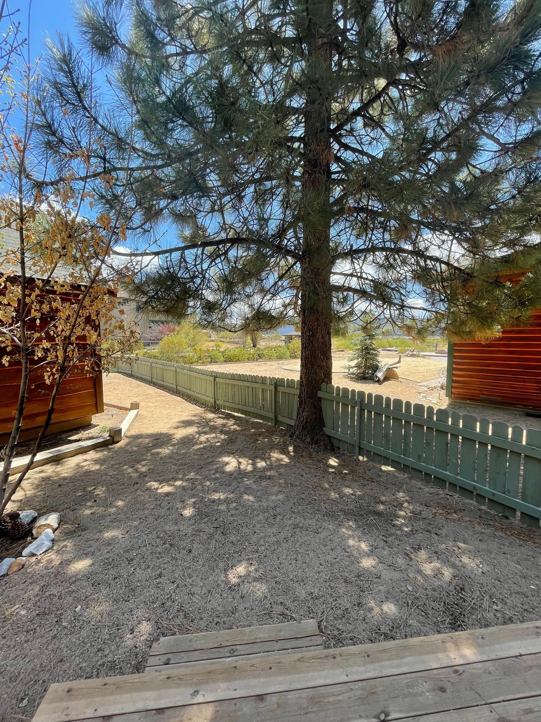 Gravel yard with a tall tree, green picket fence, and wooden structures on either side under a blue sky.