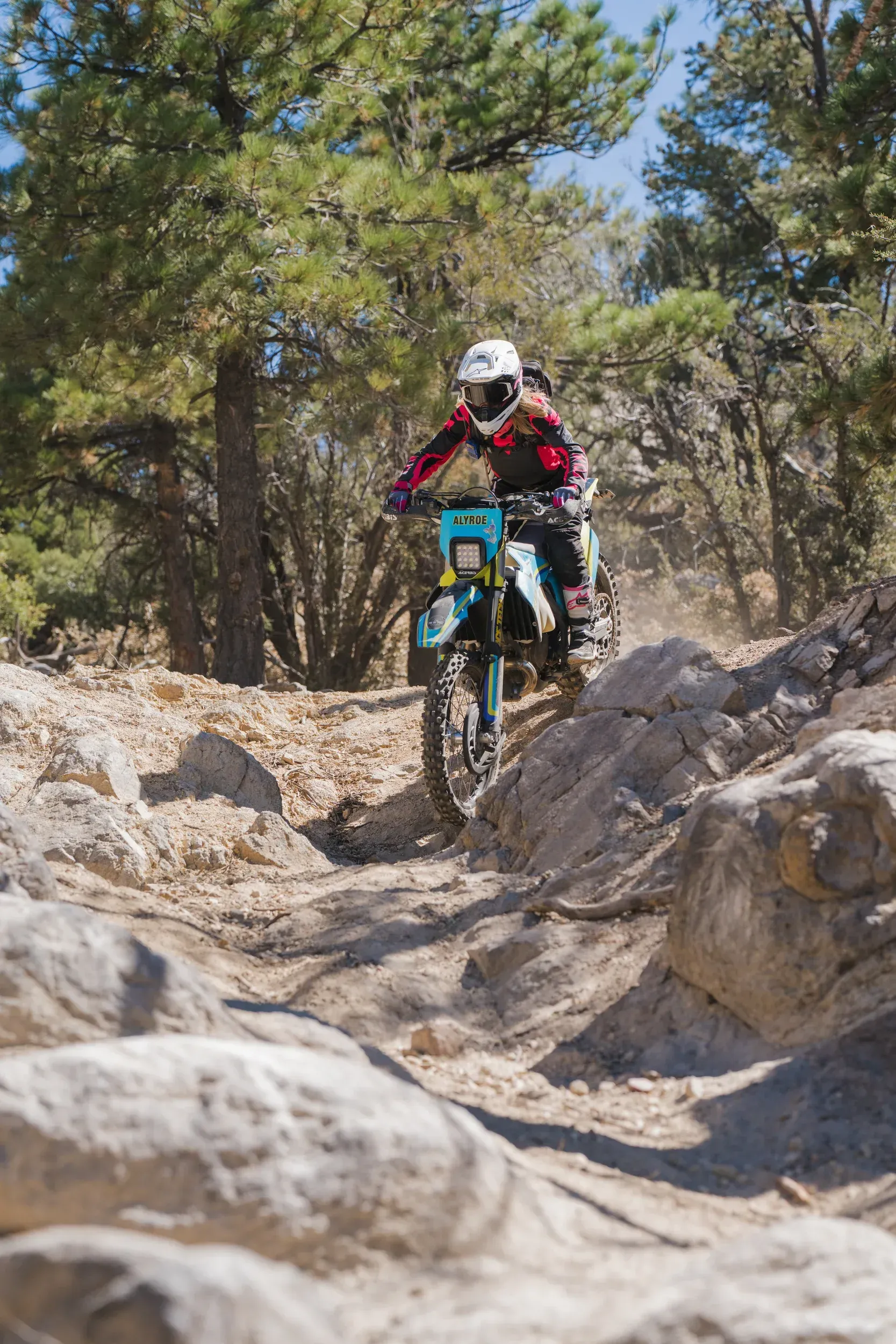 Motorcyclist on dirt bike tackles rocky trail. Green trees, blue bike, and beige rocks.
