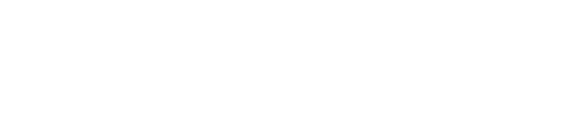 Thin light-gray horizontal line centered on a white background.
