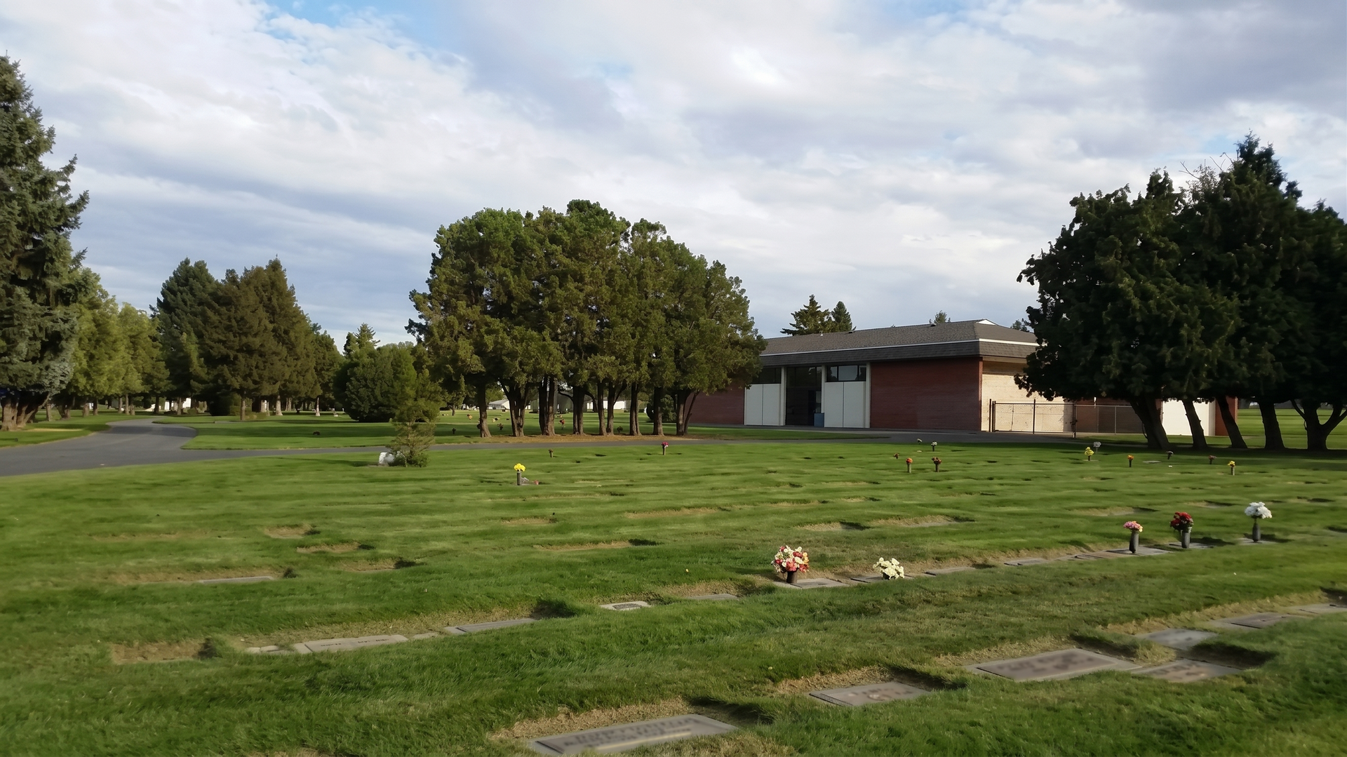Grassy park with scattered geese, trees, and a small building under a cloudy sky