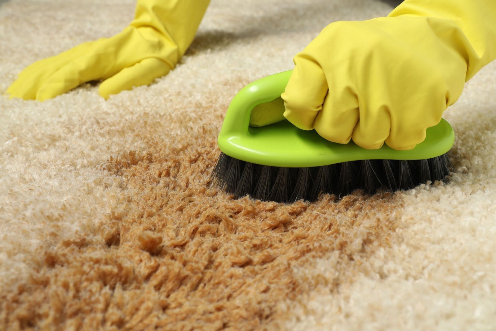 Gloved hands scrubbing a brown stain on a light-colored carpet with a green-handled brush.