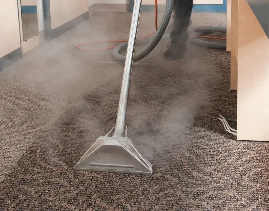 Carpet being steam cleaned in an office with a vacuum hose.