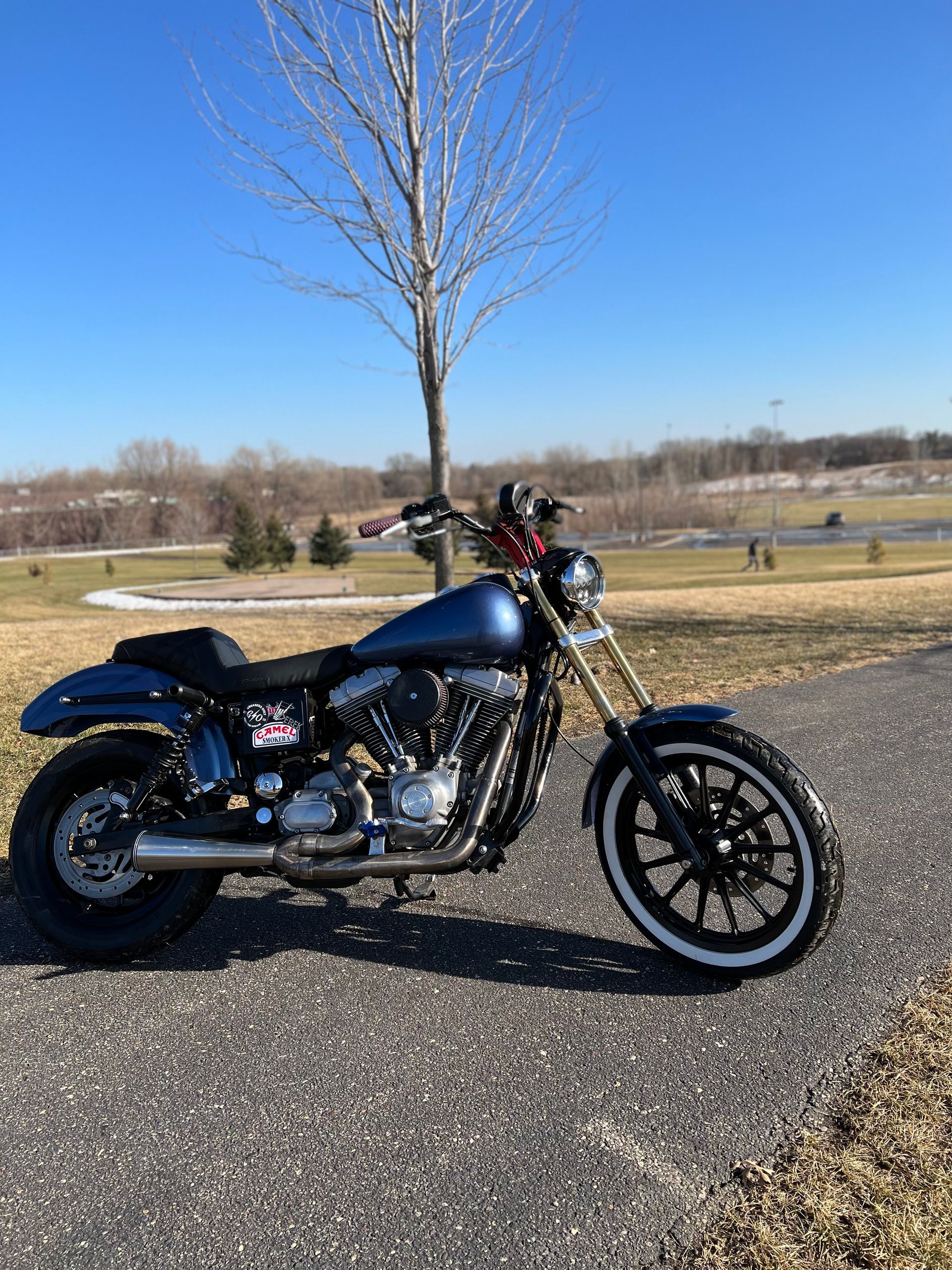 A blue Harley-Davidson motorcycle parked on a paved path during a sunny day with trees and a field in the background.