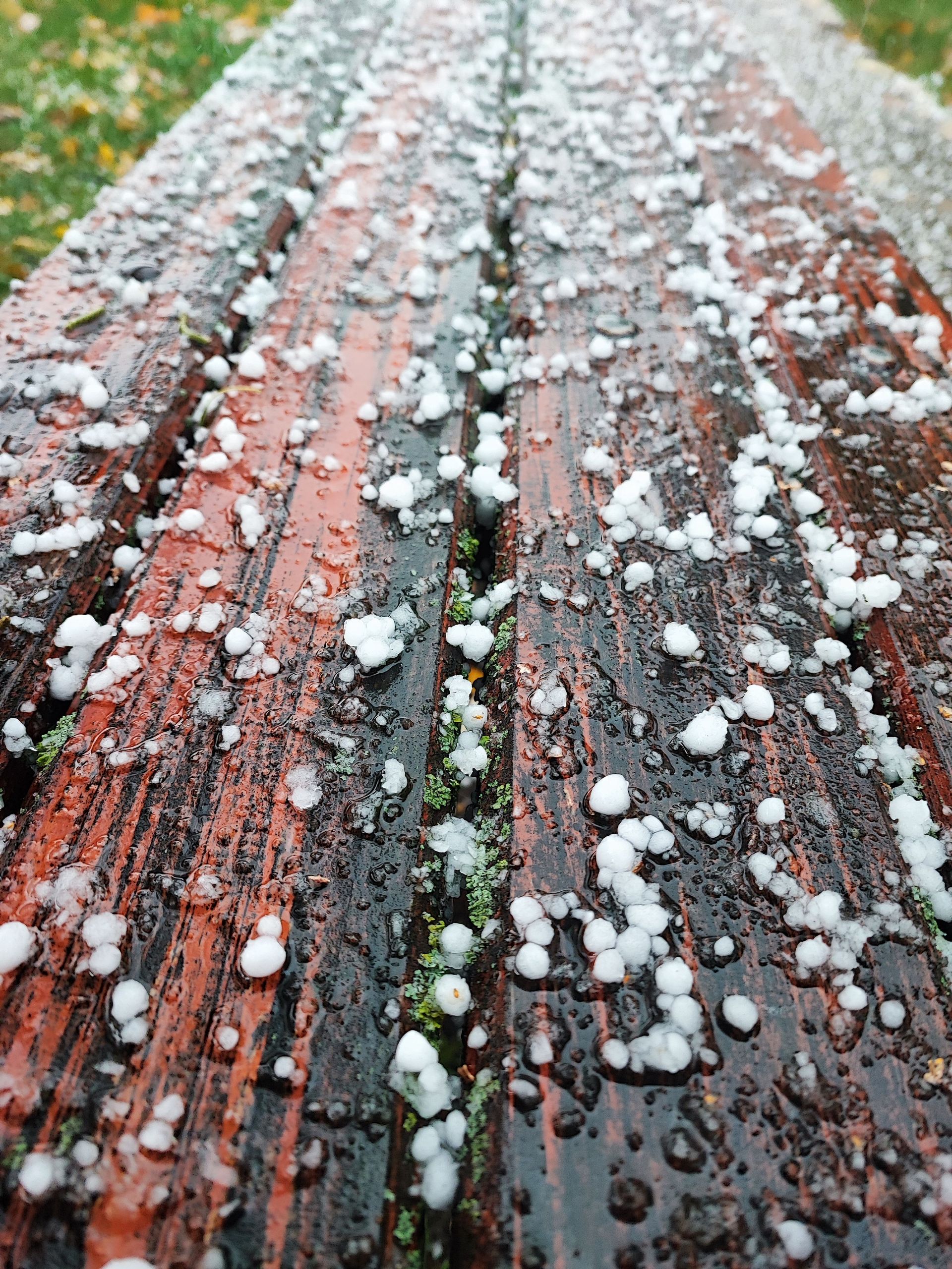 A dark-colored car hood covered in numerous circular dents caused by hail damage.