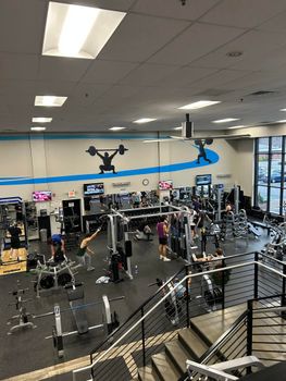 Busy gym interior with weight machines, treadmills, mirrors, and overhead fluorescent lights.