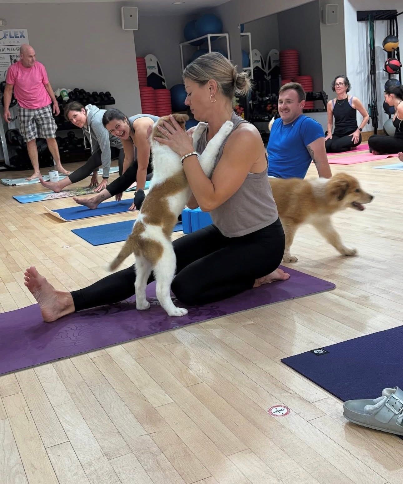 Yoga class with people on mats as a woman sits with a dog on her lap in a studio