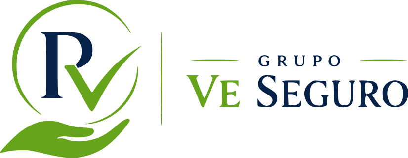 Logo de “Grupo Ve Seguro” en verde y azul con una hoja estilizada.