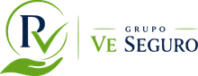 Logo de “Grupo Ve Seguro” en verde y azul con una hoja estilizada.