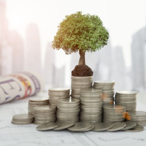 A tree is growing out of a pile of coins.