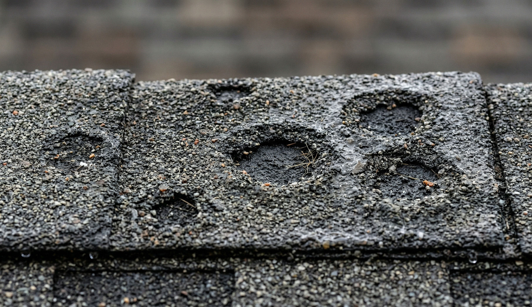 Close-up of gray asphalt roof shingles with distinct, circular depressions caused by hail impact damage.